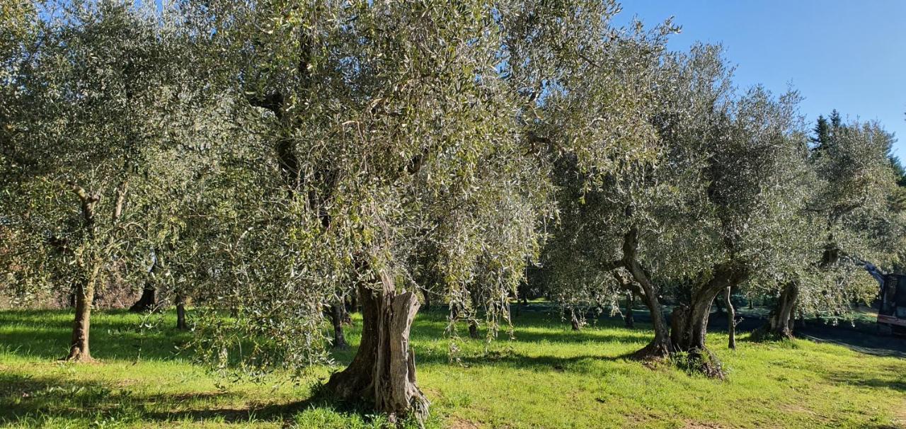 Commuoversi Ssa - Azienda Agricola Hotel Usigliano Exterior foto